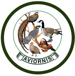 Aviornis International España