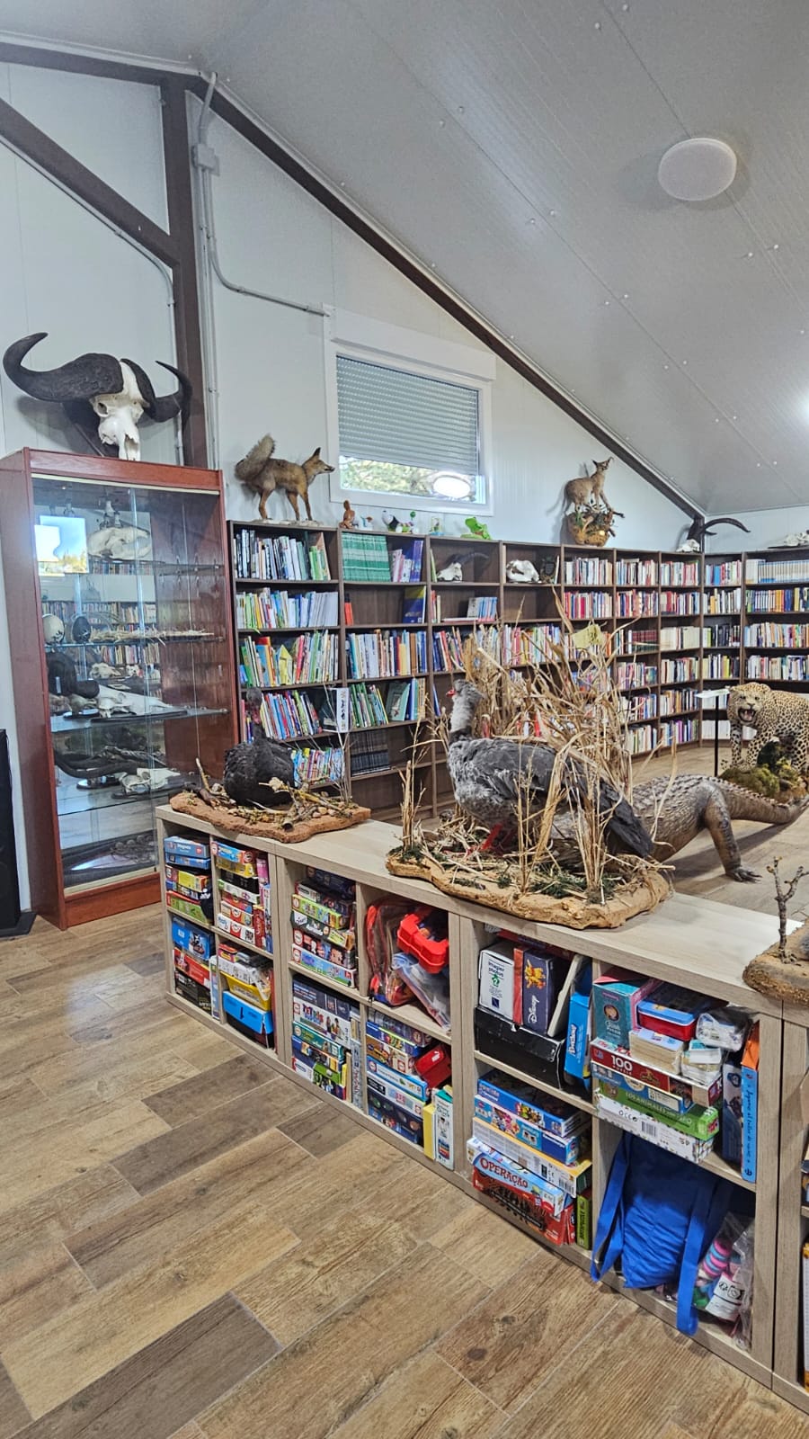 Biblioteca
