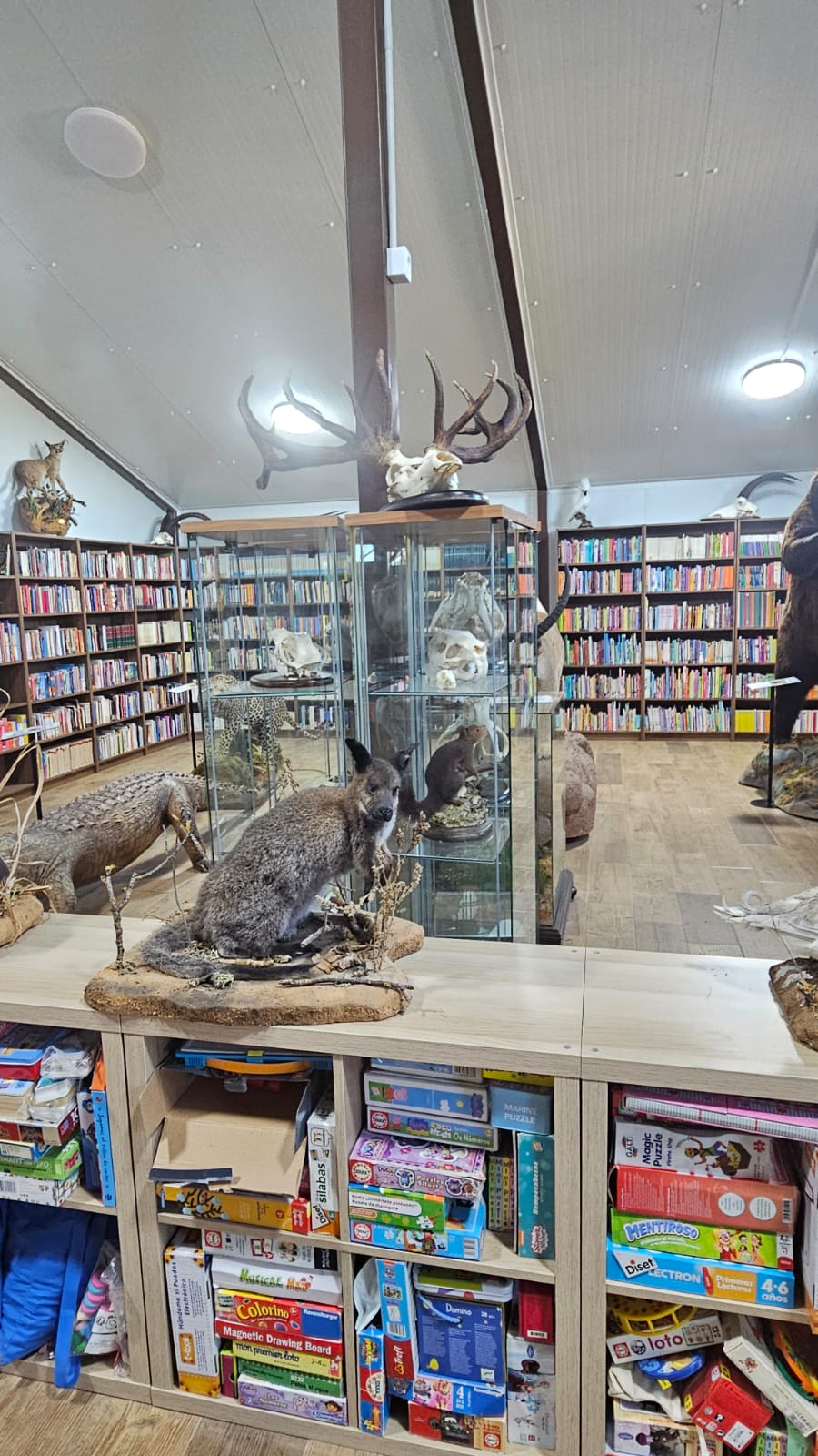 Estanterías de libros y juegos en la biblioteca