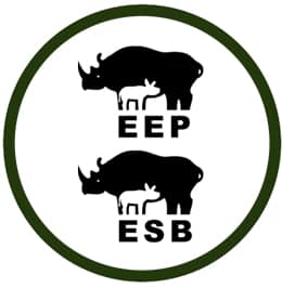Programas europeos EEP / ESB